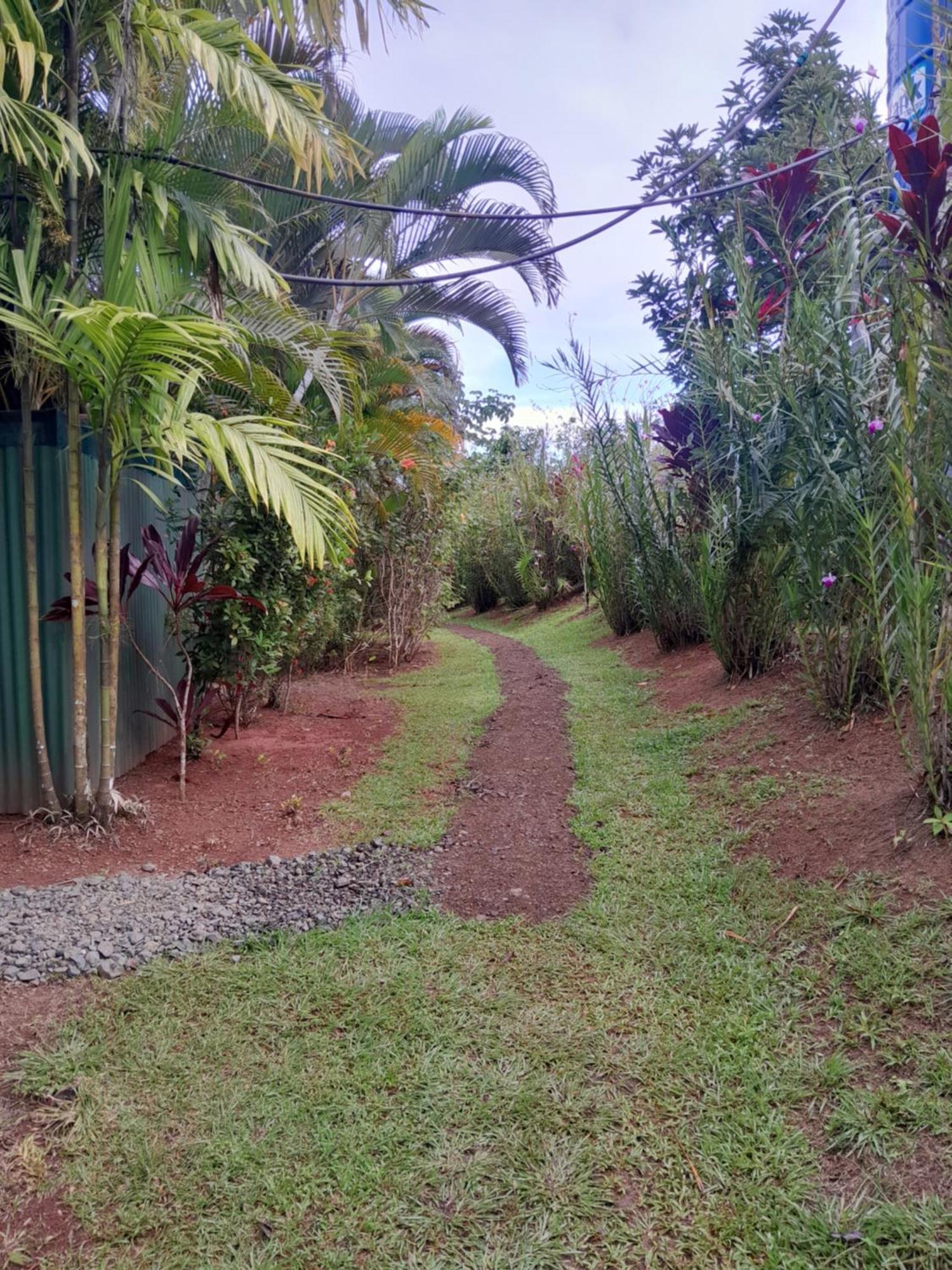 Finca La Puesta Del Sol - Miramar De Sierpe Quarto foto
