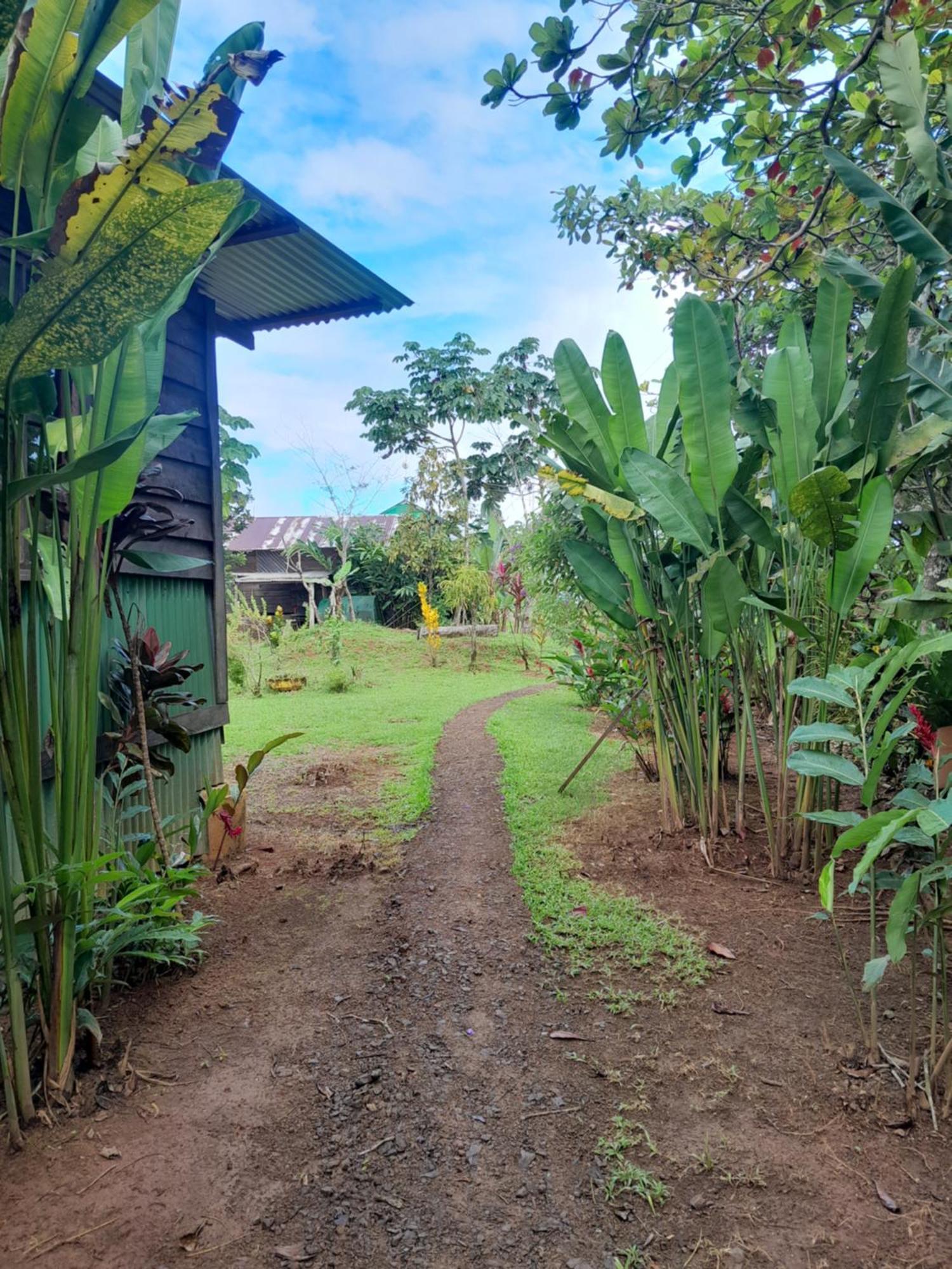 Finca La Puesta Del Sol - Miramar De Sierpe Quarto foto