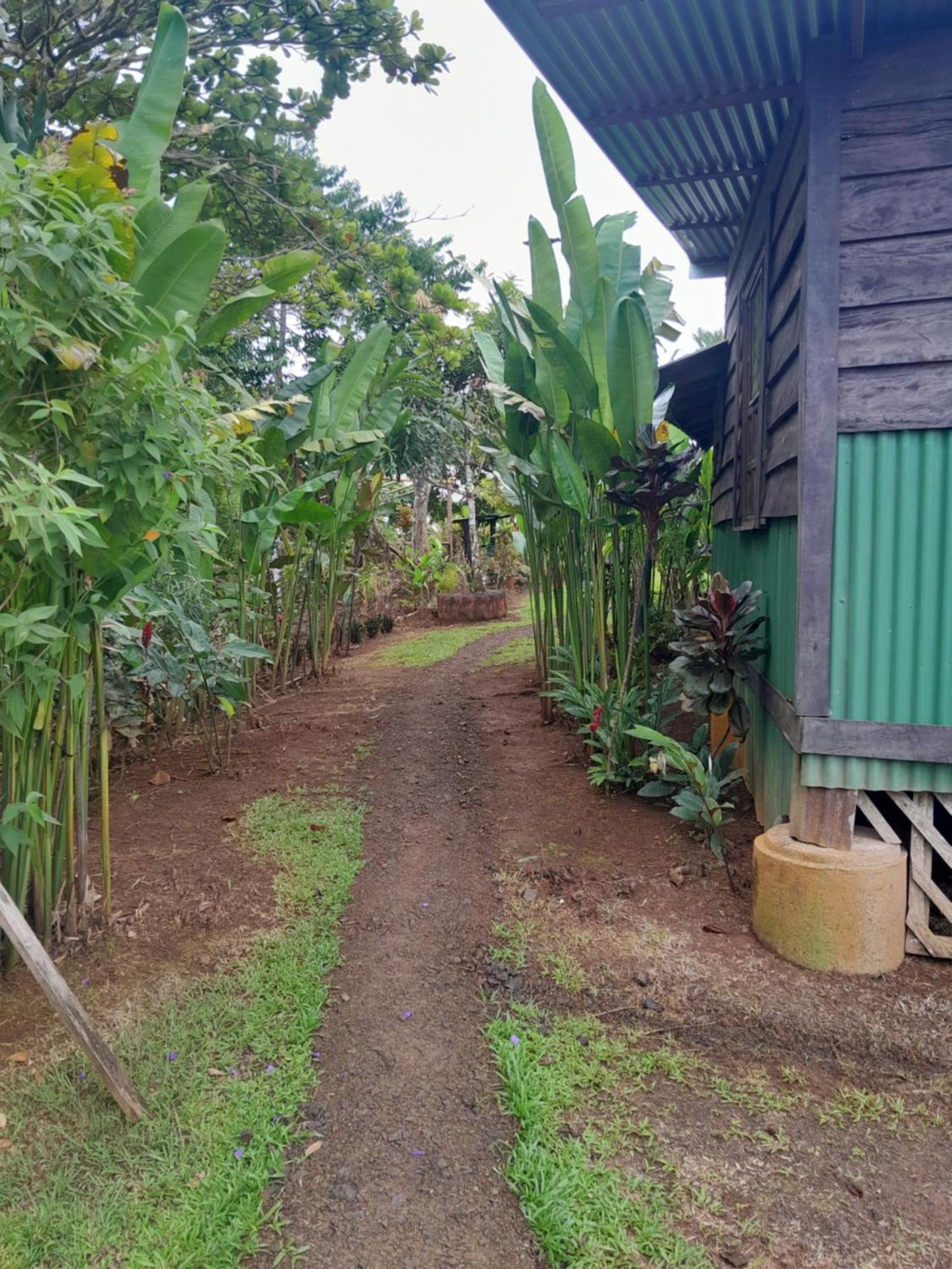 Finca La Puesta Del Sol - Miramar De Sierpe Quarto foto