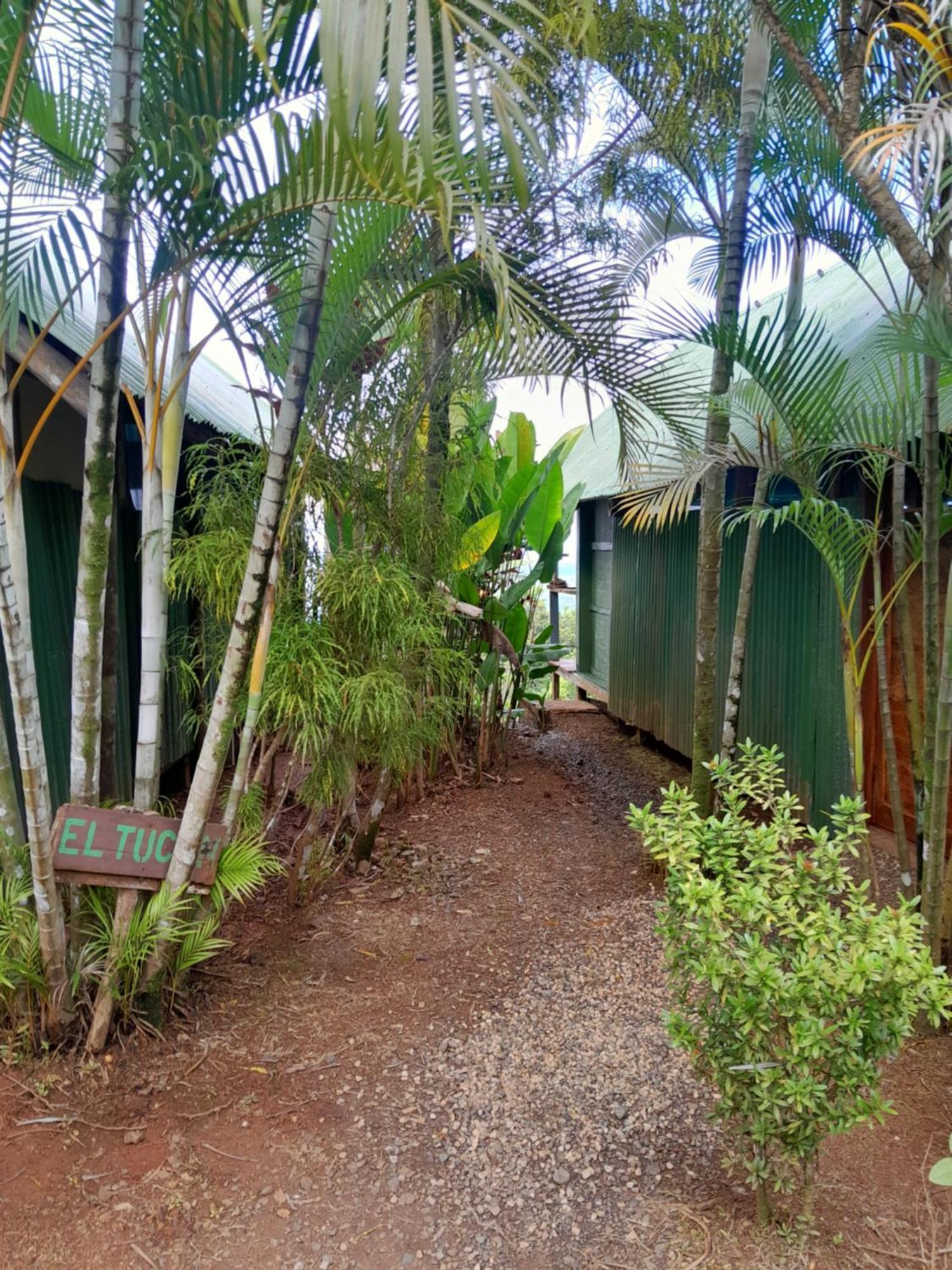 Finca La Puesta Del Sol - Miramar De Sierpe Quarto foto